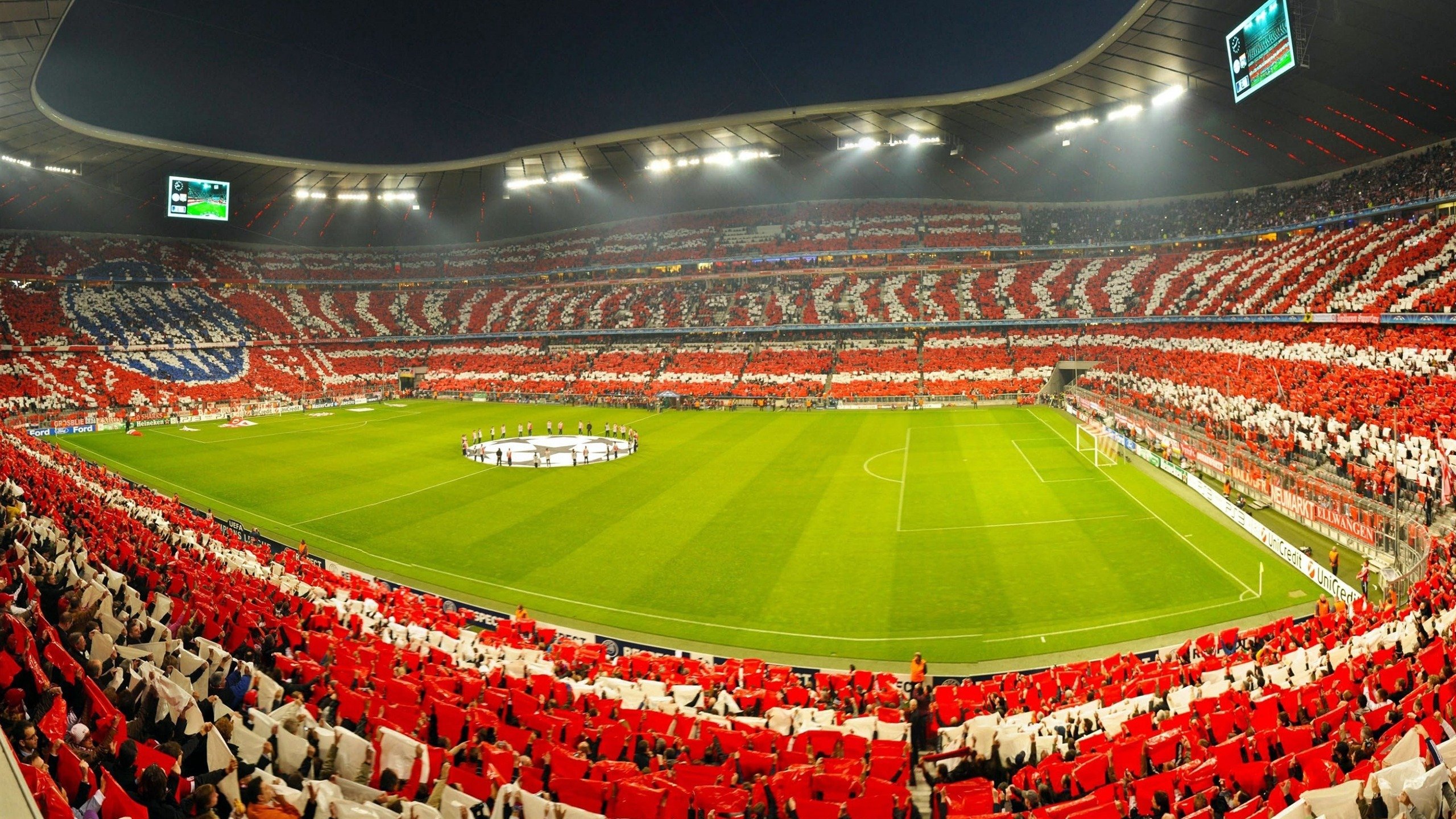 奇库诺娃完美起跳助力夺冠，库奇娜百度百科